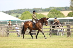 SBM_15018_Class 79 - 80 LIHS BSHA Rising Star Ridden Hunter