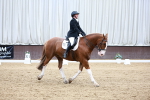 SBM_003241