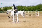 SBM_007913