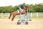 SBM_006491