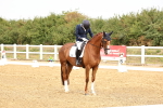 SBM_012312