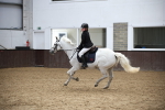 SBM_001347