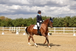 SBM_006493