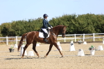 SBM_013019