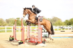 Class 13 - Senior Foxhunter - 1.20m portfolio
