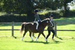 SBM_39526