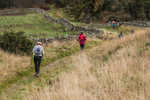 Tweed Valley-568