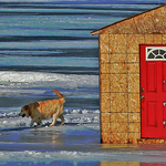 Ice Fishing Shack and a Dog