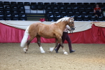 SBM_23275