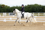 SBM_008036