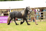 SBM_00638
