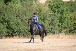 WJ6_6829