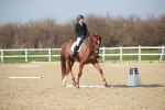 SBM_008555