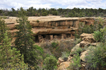 Spruce Tree House-2