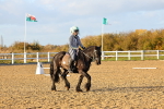 SBM_003294