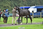046-EQUITES.MAIL-Joel.Hart-TrotUp portfolio
