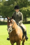 S29 - Novice & Newcomers Working Hunter Pony portfolio