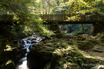 Sunlight and Shadow at the Wooden Bridge