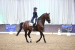 SBM_009149