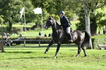 SBM_50047