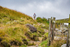 Langdale-2489