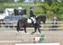BPP_5917
