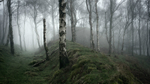 Via