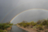 Saguaro National Park