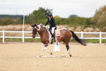 SBM_001874