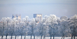 IMG_2118 MINSTER AND FROSTED TREES FROM YORK KNAVESMIRE copy 3