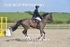 BPP_3333