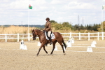SBM_009786