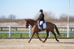 SBM_003337