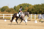 SBM_016565