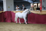 SBM_05083