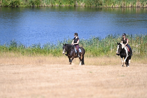 WJ6_8169