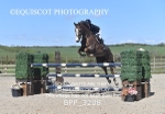 BPP_3208