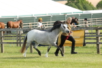 SBM_00620