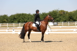 SBM_005079