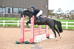 Cls 1 British Novice and 90cm Open portfolio