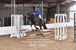 BPP_3596