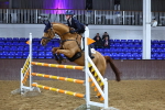 SBM_003381