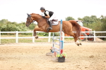 SBM_003374
