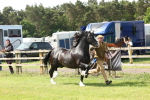 SBM_02193
