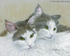 Thor and Loki