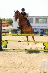 SBM_006950