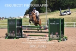 BPP_1242