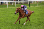 150524-Race 1-Crystal Delight-1440