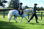 SBM_35543