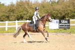 SBM_000771